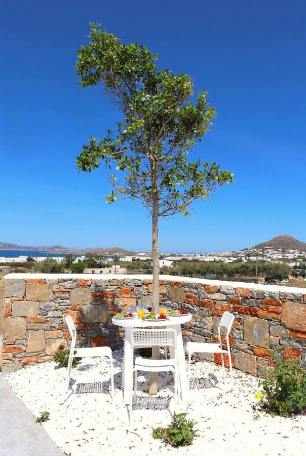 Villa The Nine Graces - Agia Anna - Option With Private Pool Or Hot Tub Exterior foto