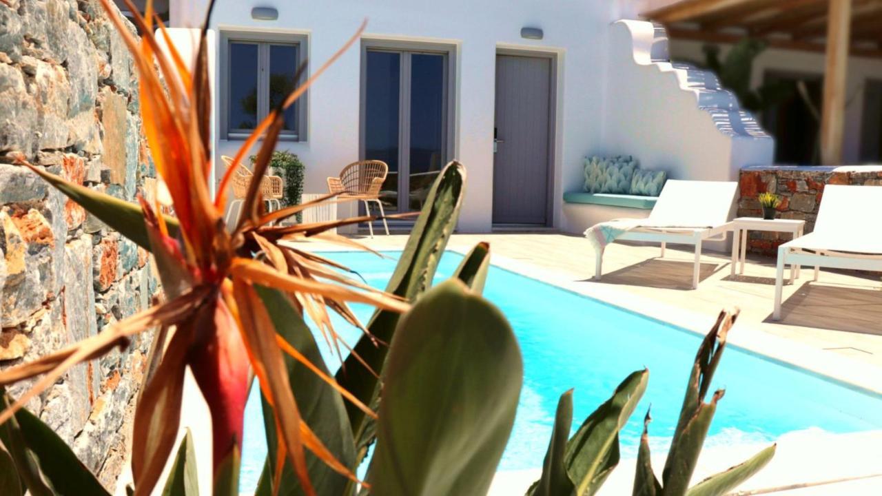 Villa The Nine Graces - Agia Anna - Option With Private Pool Or Hot Tub Exterior foto
