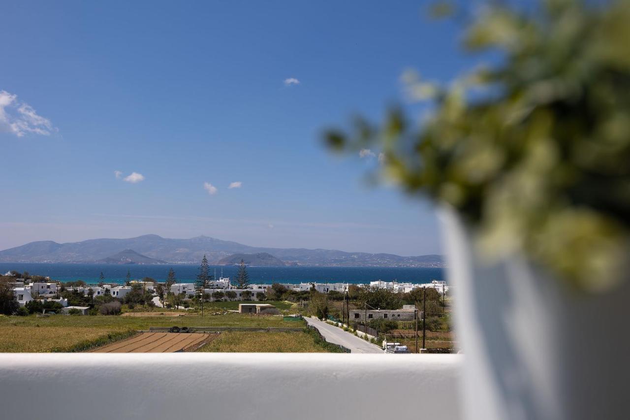 Villa The Nine Graces - Agia Anna - Option With Private Pool Or Hot Tub Exterior foto